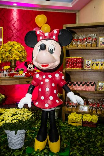 Tema: Jardim da Minnie 