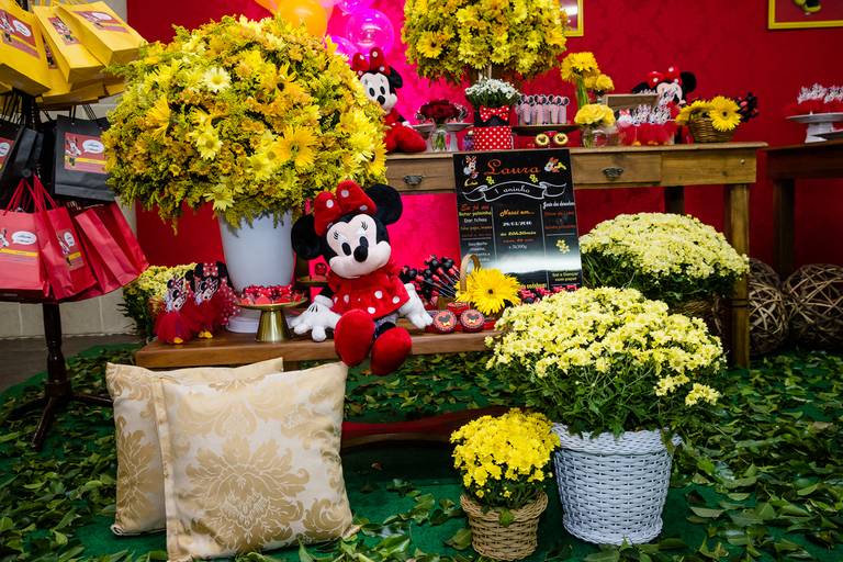 Tema: Jardim da Minnie 