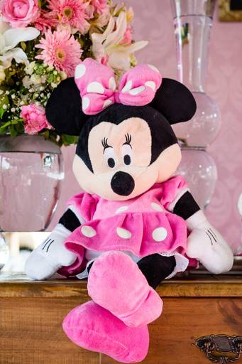 Tema: Minnie Rosa 