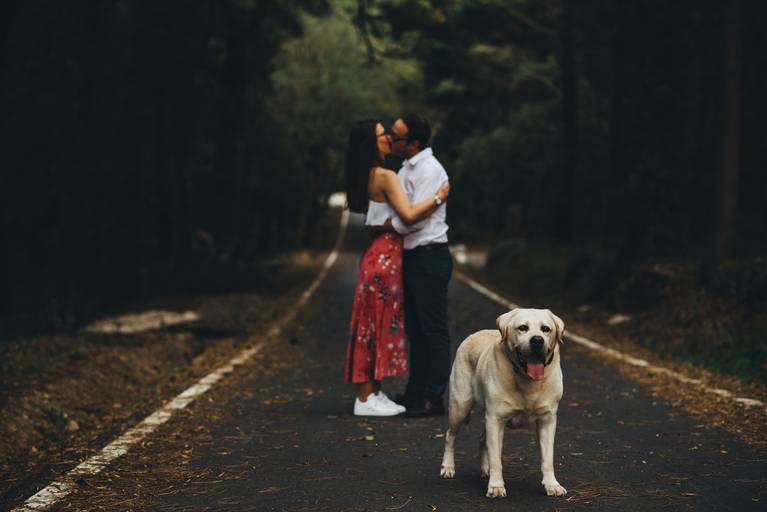 Sessão fotográfica Serra da Peninha