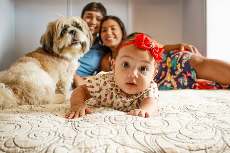 ensaio foto bebê com pet cachorro shintzu familia lifestyle ideias rio de janeiro