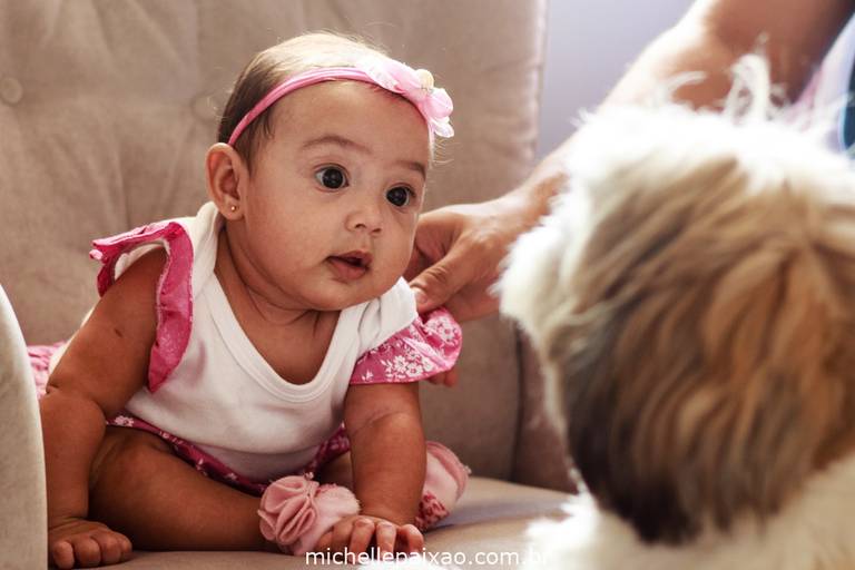 ensaio fotográfico família com pet fotos rj