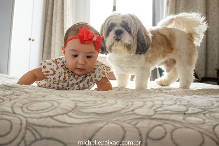 ensaio fotográfico bebê com cachorro shintzu lifetysle rj