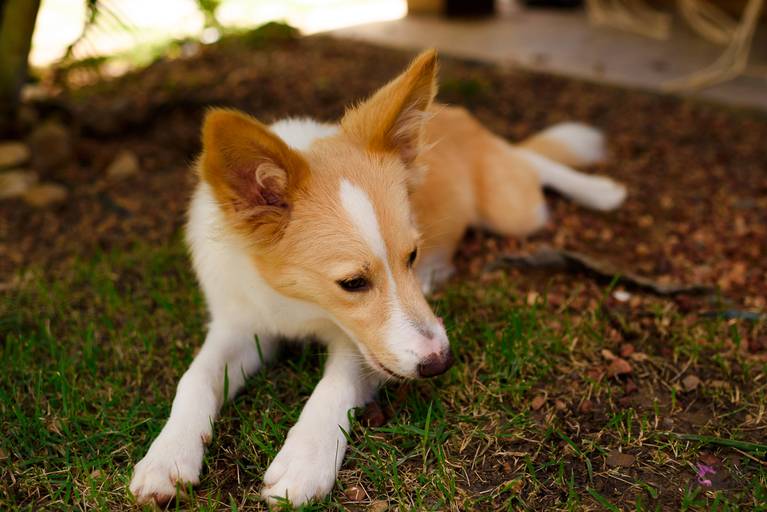 Quadra 6 Lote 5 - 2ª edição em 1 de setembro de 2019 - Alongamento com Andreza Bastos.
