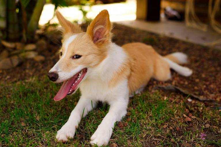 Quadra 6 Lote 5 - 2ª edição em 1 de setembro de 2019 - Alongamento com Andreza Bastos.