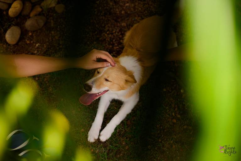 Quadra 6 Lote 5 - 2ª edição em 1 de setembro de 2019 - Alongamento com Andreza Bastos.