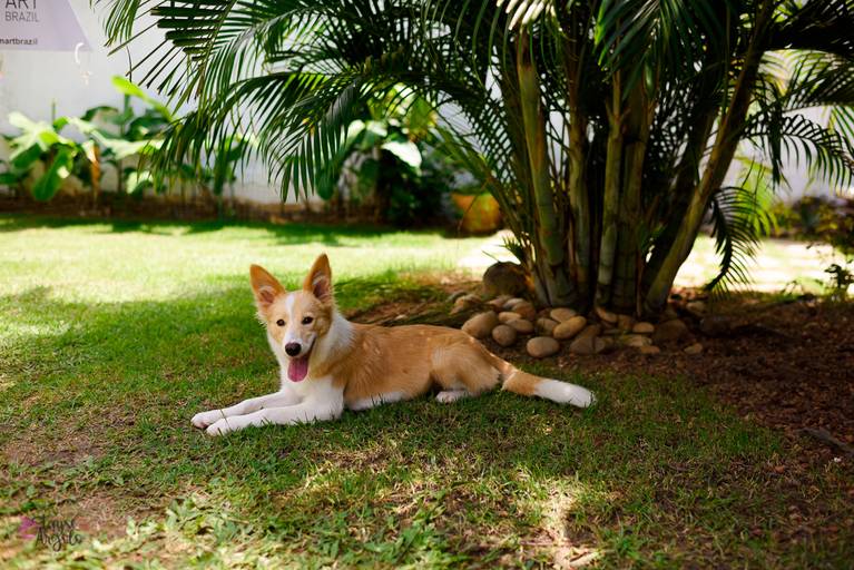 Quadra 6 Lote 5 - 2ª edição em 1 de setembro de 2019 - Alongamento com Andreza Bastos.