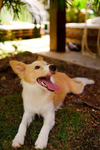 Quadra 6 Lote 5 - 2ª edição em 1 de setembro de 2019 - Alongamento com Andreza Bastos.