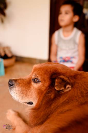 Quadra 6 Lote 5 - 3ª edição de Dia das Crianças! 