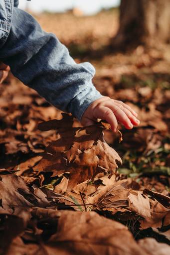 ensaio infantil outono
