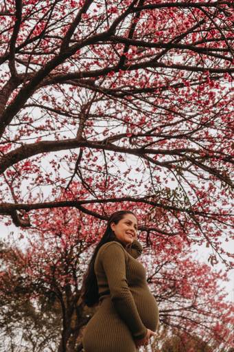 ensaio gestante  cerejeiras