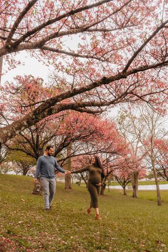 ensaio gestante  cerejeiras