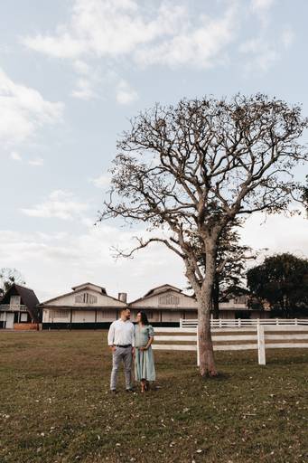 ensaio gestante cavalo