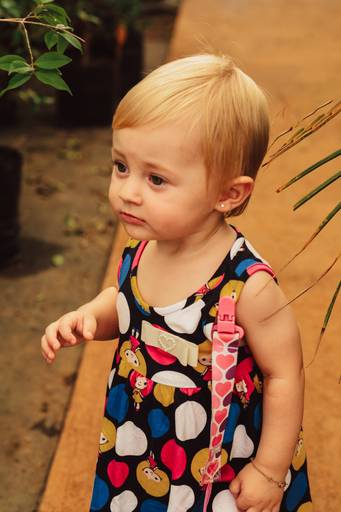 ensaio na floricultura