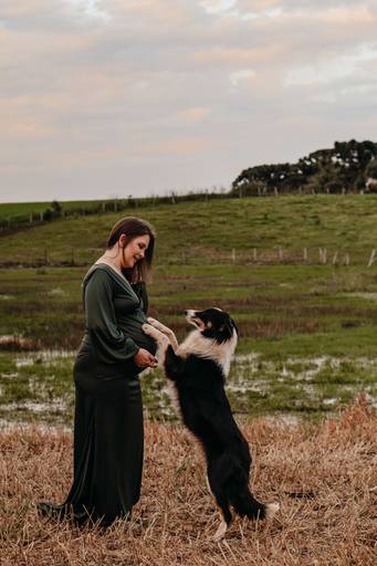 ensaio gestante cachorro