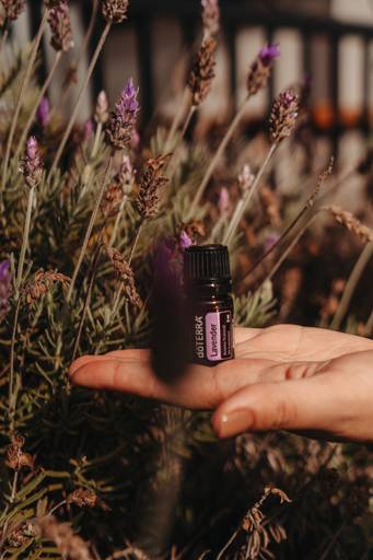 Retrato de Posicionamento de Marca do terra