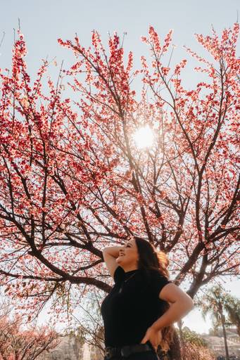 ensaio coom cachorro