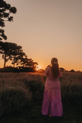campo de lavanda: ensaio feminino