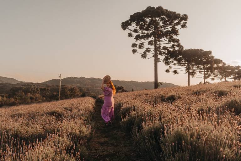 Ensaio feminino na lavanda