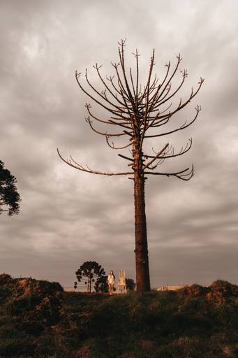 ensaio feminino de arte