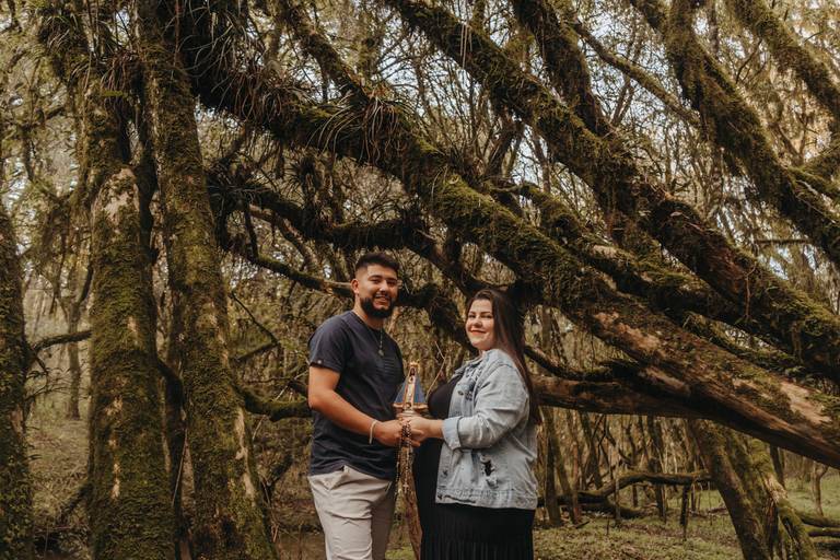 ensaio de gestante natureza