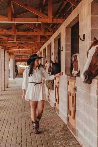 ensaio de 18 anos cavalo