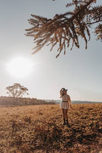 ensaio de 18 anos cavalo