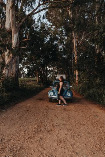 ensaio de gestante fusca