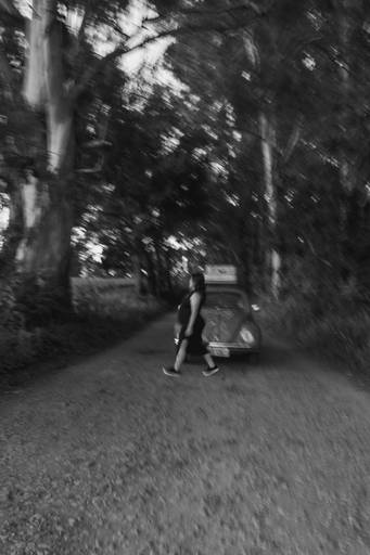 ensaio de gestante natureza