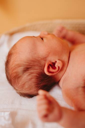 newborn lifestyle casa