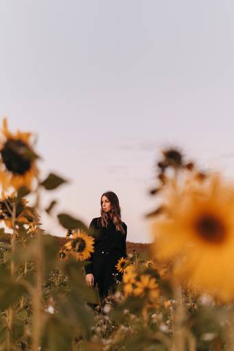 Ensaio feminino no girassol 