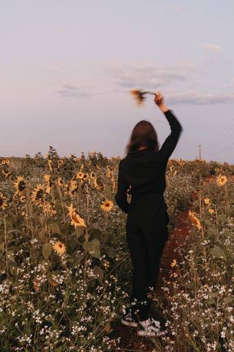 Ensaio feminino no girassol 