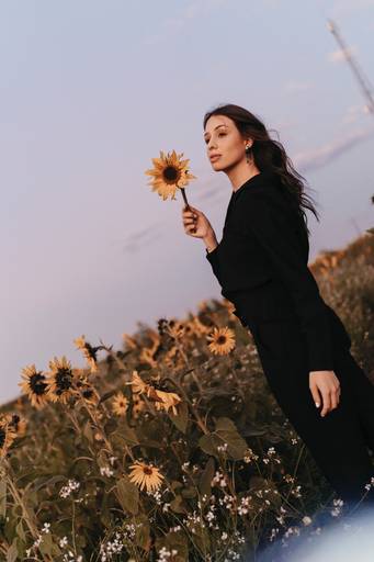 Ensaio feminino no girassol 