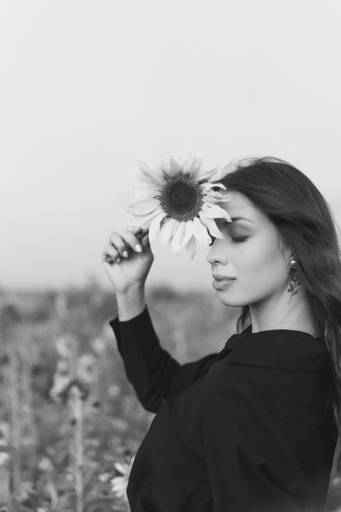 Ensaio feminino no girassol 