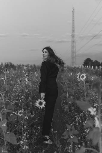 Ensaio feminino no girassol 