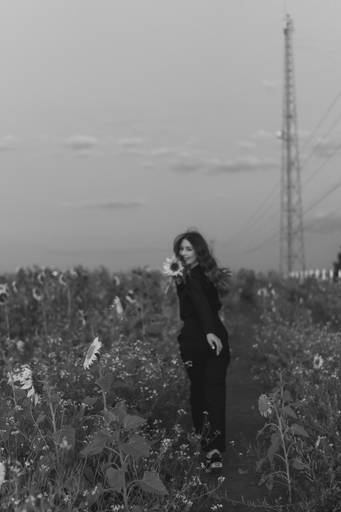 Ensaio feminino no girassol 