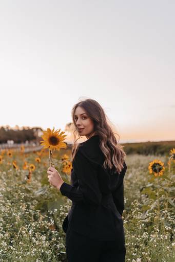 Ensaio feminino no girassol 