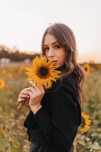 Ensaio feminino no girassol 
