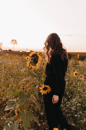 Ensaio feminino no girassol 