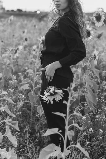 Ensaio feminino no girassol 