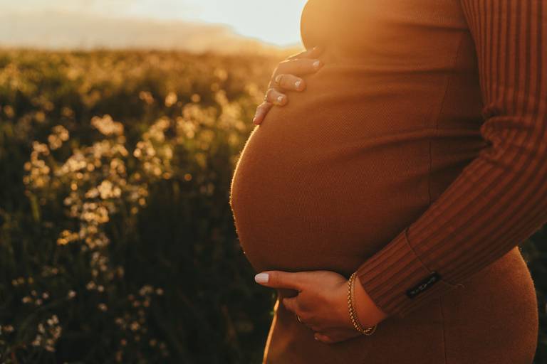 gestante na fazenda