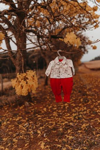 foto gestante natureza 