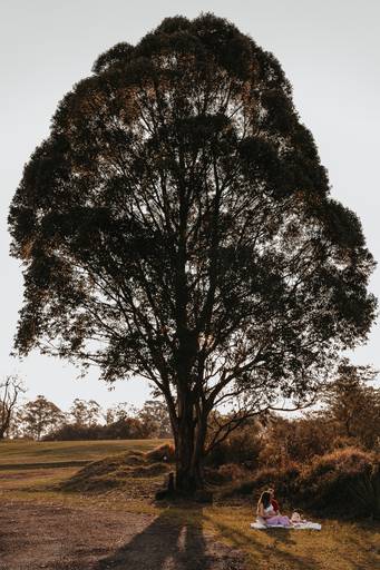 Maternity photography