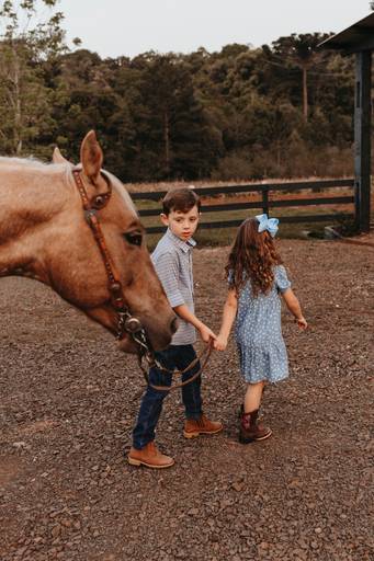 gestante fazenda cavalo