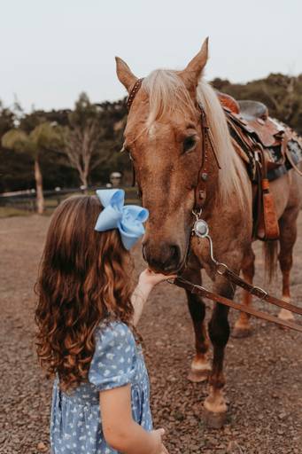 gestante fazenda cavalo