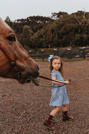 gestante fazenda cavalo