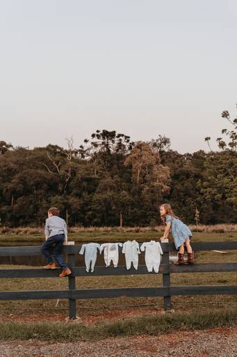 gestante fazenda cavalo