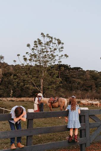 gestante fazenda cavalo