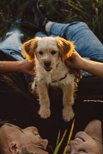 Ensaio em casal com o cachorro