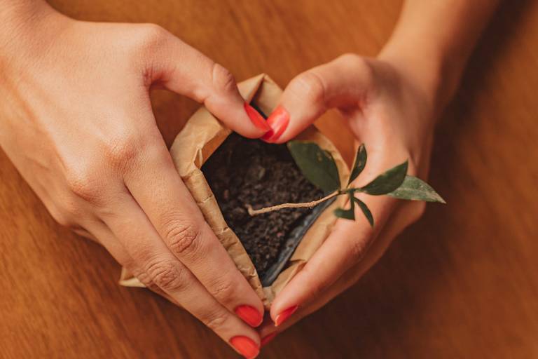 Ensaio Corporativo de marketing